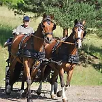 Fattoria Ca' Di Fatino Castiglione dei Pepoli