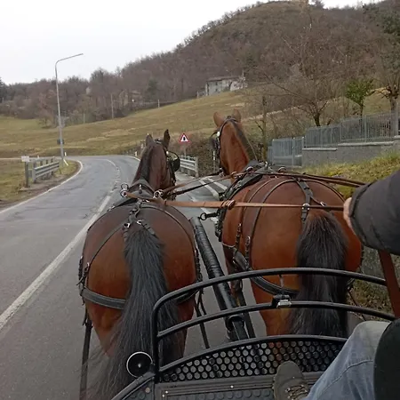 Fattoria Ca' Di Fatino فندق مبيت وإفطار كاستليوني دي بيبولي