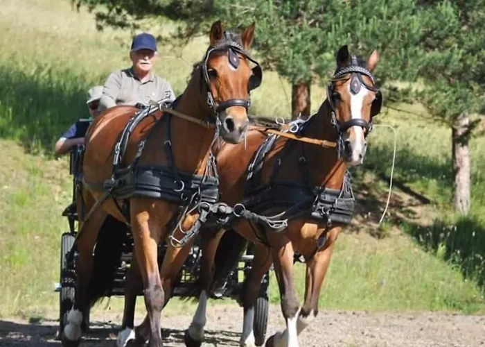 Fattoria Ca' Di Fatino كاستليوني دي بيبولي