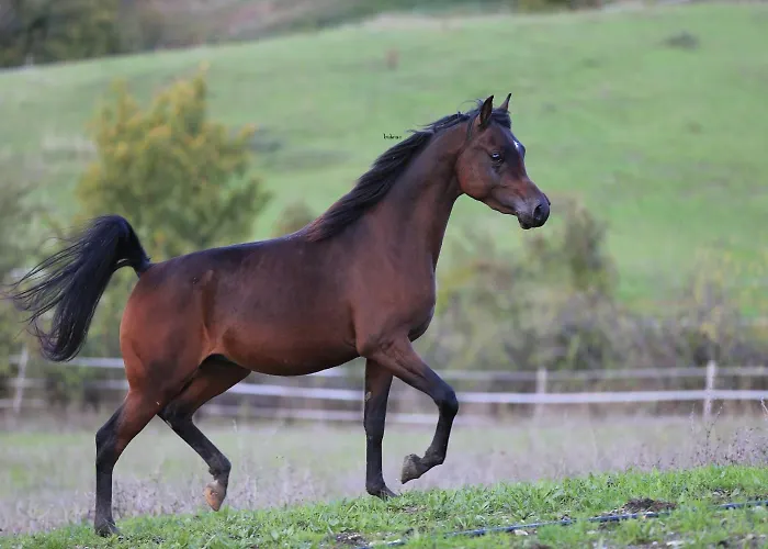 Fattoria Ca' Di Fatino فندق مبيت وإفطار