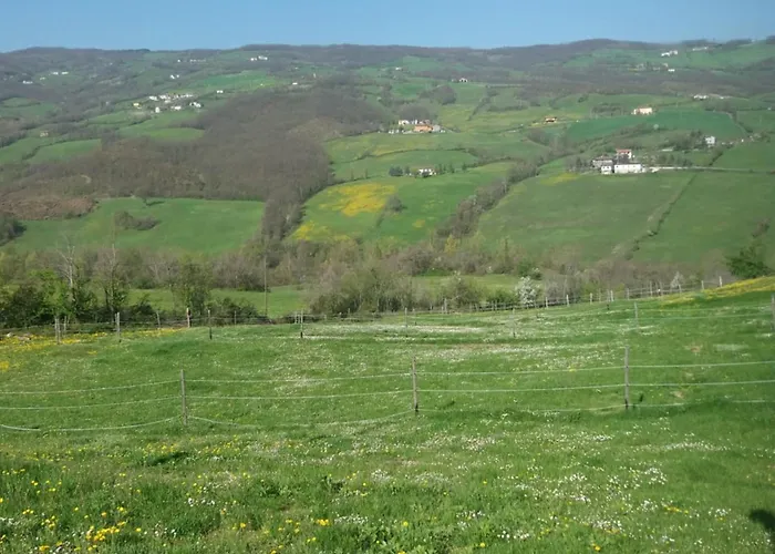 Fattoria Ca' Di Fatino فندق مبيت وإفطار 3*