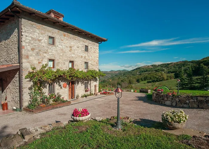 Fattoria Ca' Di Fatino