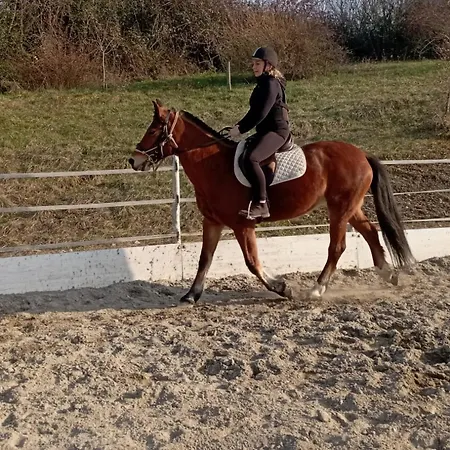 Bed & Breakfast Fattoria Ca' Di Fatino Castiglione dei Pepoli
