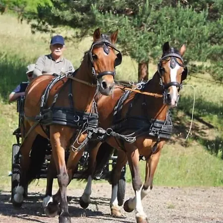 Fattoria Ca' Di Fatino Castiglione dei Pepoli