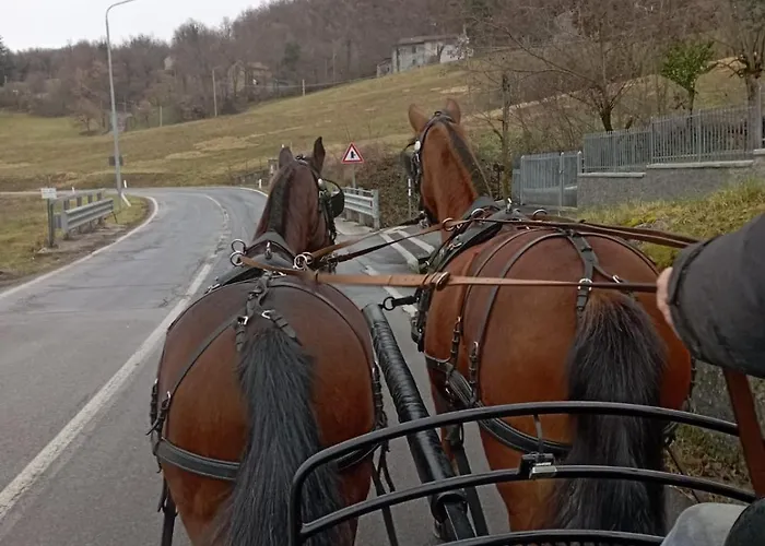 Fattoria Ca' Di Fatino Frühstückspension Castiglione dei Pepoli