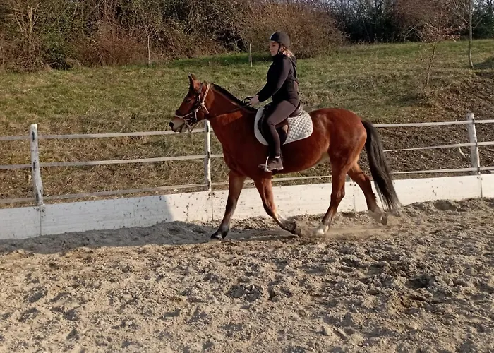 Frühstückspension Fattoria Ca' Di Fatino Castiglione dei Pepoli