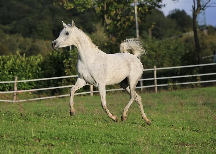 Fattoria Ca' Di Fatino Couette-café Castiglione dei Pepoli